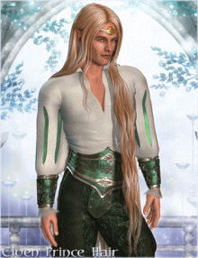 Elven Prince Hair