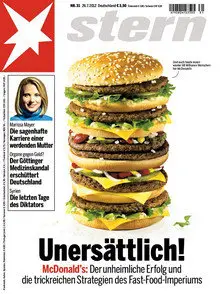 Der Stern Magazin No 31 2012