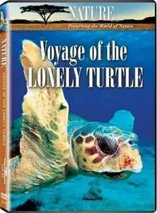 PBS Nature - Voyage of the Lonely Turtle (2007)
