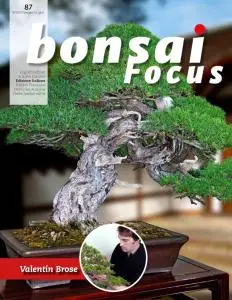 Bonsai Focus (Italian Edition) N.87 - Maggio-Giugno 2020