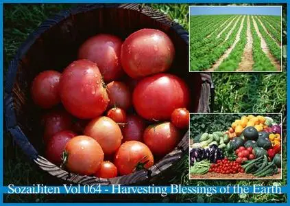 DataCraft Sozaijiten Vol 064 - Harvesting Blessings of the Earth
