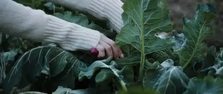 Zipper (2015)