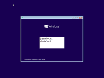Microsoft Windows 10 Pro 1607 build 14393.187 Multilingual