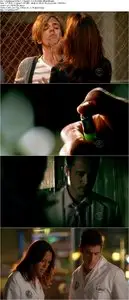 CSI: Miami S09E17