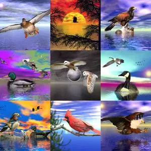 Bryce Wallpapers - Birds