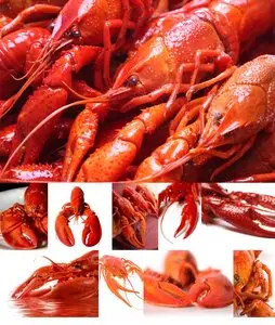 Lobsters