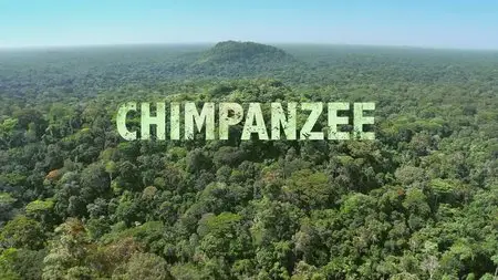Disney Nature - Chimpanzee (2012)