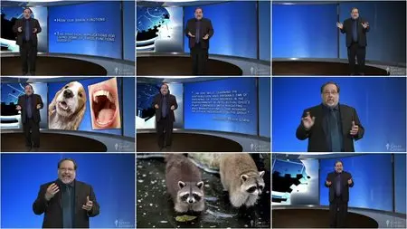 TTC Video - Your Best Brain