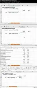 Financial Statement & Ratio Analysis in Excel - 3 in 1