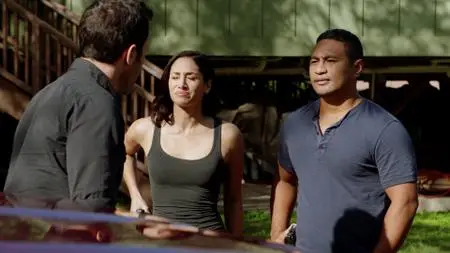 Hawaii Five-0 S10E19