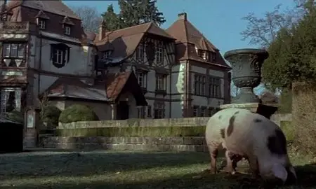 Je suis ne d'une cigogne / Children of the Stork - by Tony Gatlif (1999)
