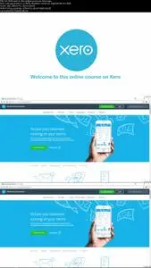 Xero Course for small businesses or Bookkeepers