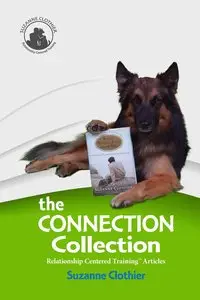 The Connection Collection: Relationship Centered TrainingTM Articles
