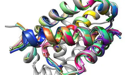 Full Guidance On Amino Acid/Protein Databases For Beginners