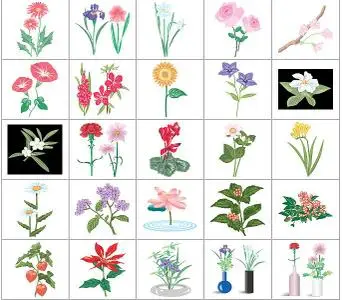 AP Total Design - Folliage Plants & Flowers