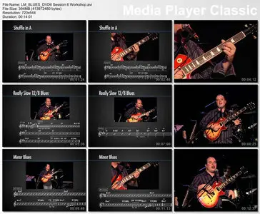 Learn and Master Blues Guitar with Steve Krenz (2010)