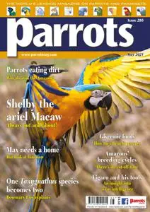 Parrots – May 2021