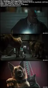 Cats & Dogs: The Revenge of Kitty Galore (2010)