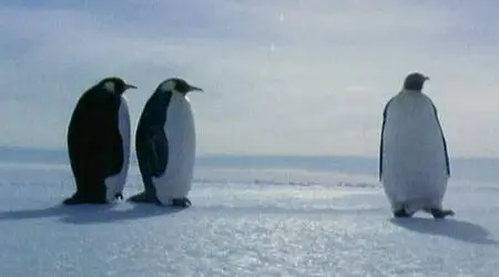 Farce of the Penguins (2007) DVDRip