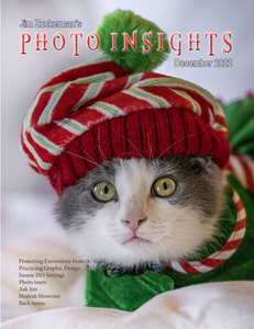 Photo Insights - December 2022