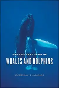 The Cultural Lives of Whales and Dolphins