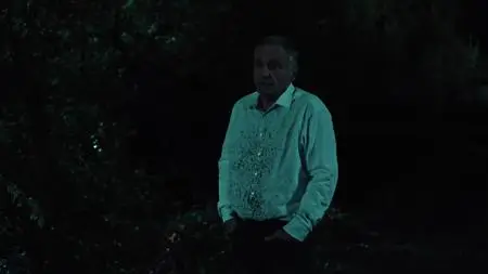 Vorstadtweiber S06E11