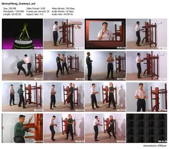 Benny Meng - Ip Man Wing Chun Series Dummy Section 3 VCD