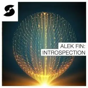 Samplephonics Alek Fin: Introspection MULTiFORMAT