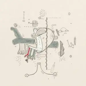 VA - Tiny Changes: A Celebration Of Frightened Rabbit's 'The Midnight Organ Fight' (2019)