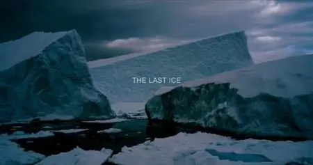 NG. - The Last Ice (2020)