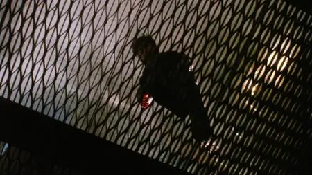 Freddy's Dead: The Final Nightmare (1991)