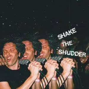 !!! (Chk Chik Chick) - Shake the Shudder (2017)