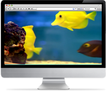 ScreensaverPlus Aquarium Screensaver 5.8