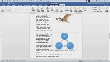 O'Reilly Media - Learning Microsoft Word 2016 for Mac Training Video (2015)