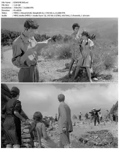 Two Women (1960)