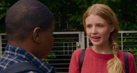 Morris from America (2016)