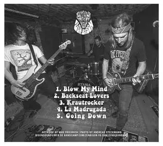 Zen Bison - Krautrocker (2018)