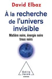 David Elbaz, "A la recherche de l'Univers invisible : Matière noire, énergie noire, trous noirs"