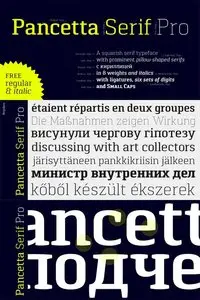 Pancetta Serif Pro Font Family