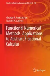 Functional Numerical Methods: Applications to Abstract Fractional Calculus