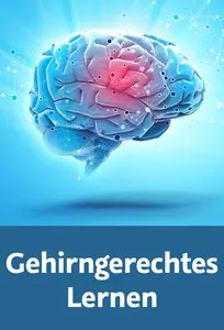 Gehirngerechtes Lernen Erkenntnisse aus der Neurowissenschaft