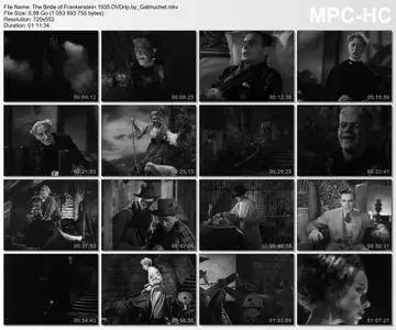 The Bride of Frankenstein (1935)