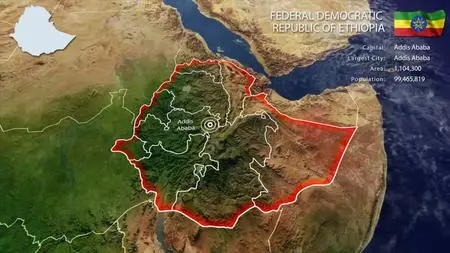 Till J F Trojer - Arho: The Afar Salt Trade of Northeastern Ethiopia (2021)
