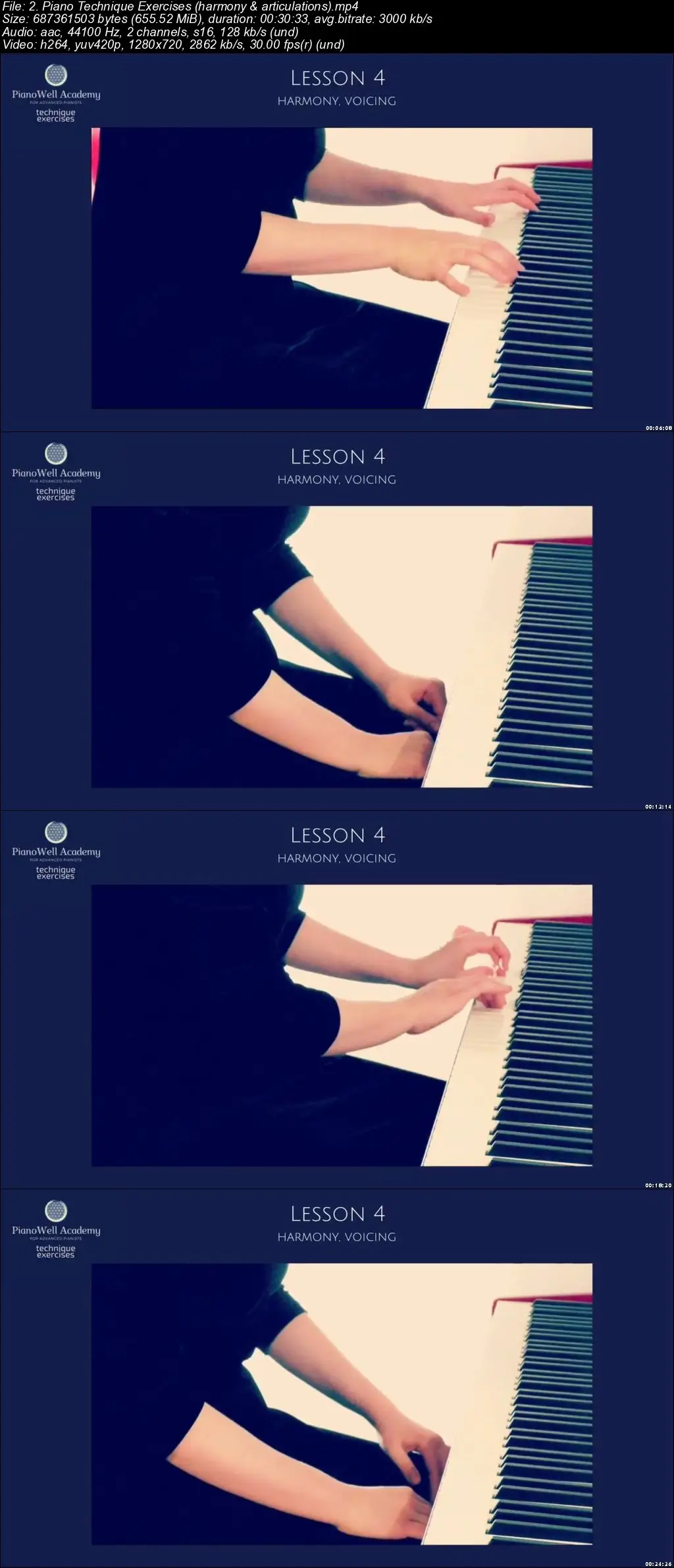 Piano Exercises Scales, Arpeggios, Octaves, Chords, Hanon / AvaxHome