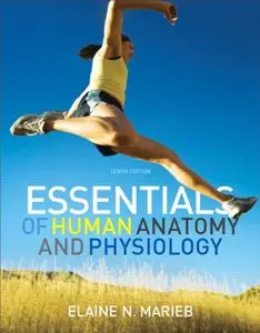 Essentials of Human Anatomy & Physiology (10th Edition)