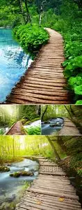 Stock Photo - Boardwalk in the Park