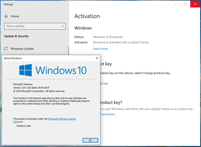 Windows 10 Enterprise 21H1 10.0.19043.867 Multilingual