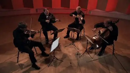 Joseph Haydn: String Quartets - The Lindsays (2004) DVD9