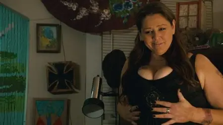 The Hot Flashes (2013)