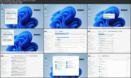 Windows 11: Troubleshooting im IT-Support – Software und Ressourcen